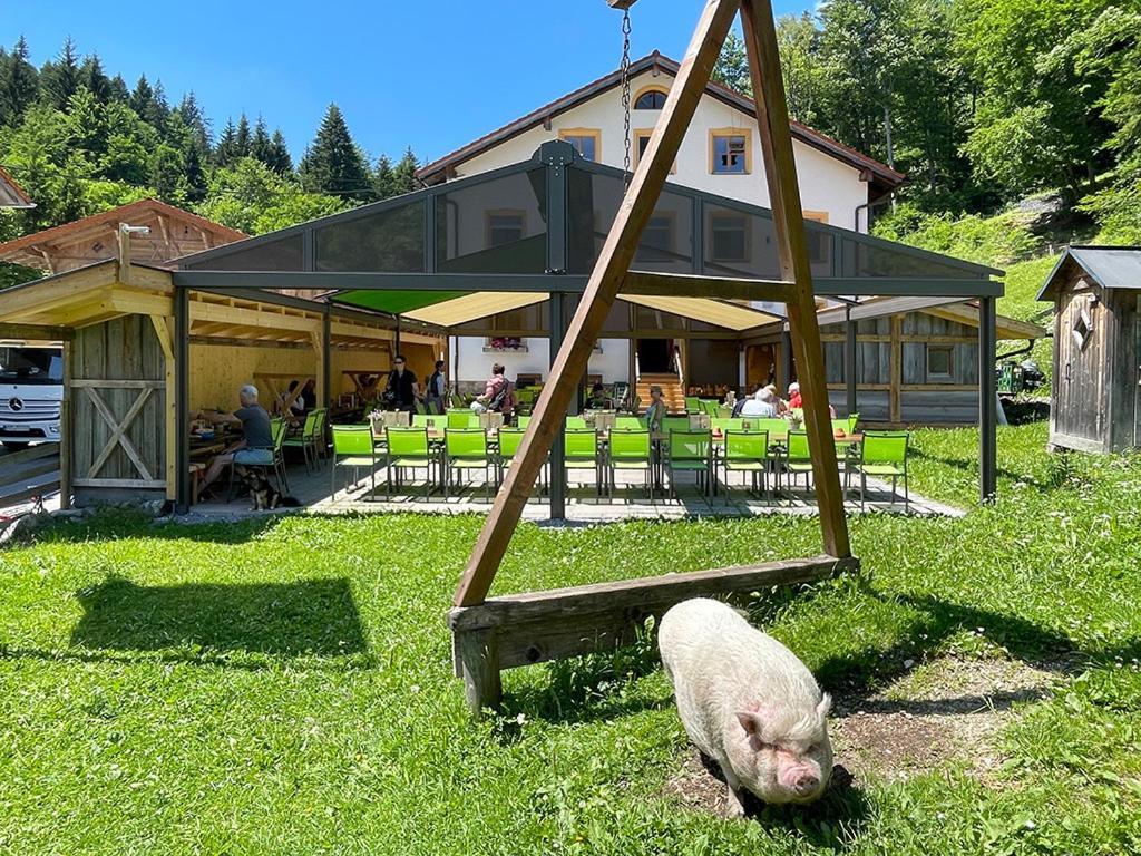 Fallmühle Inn