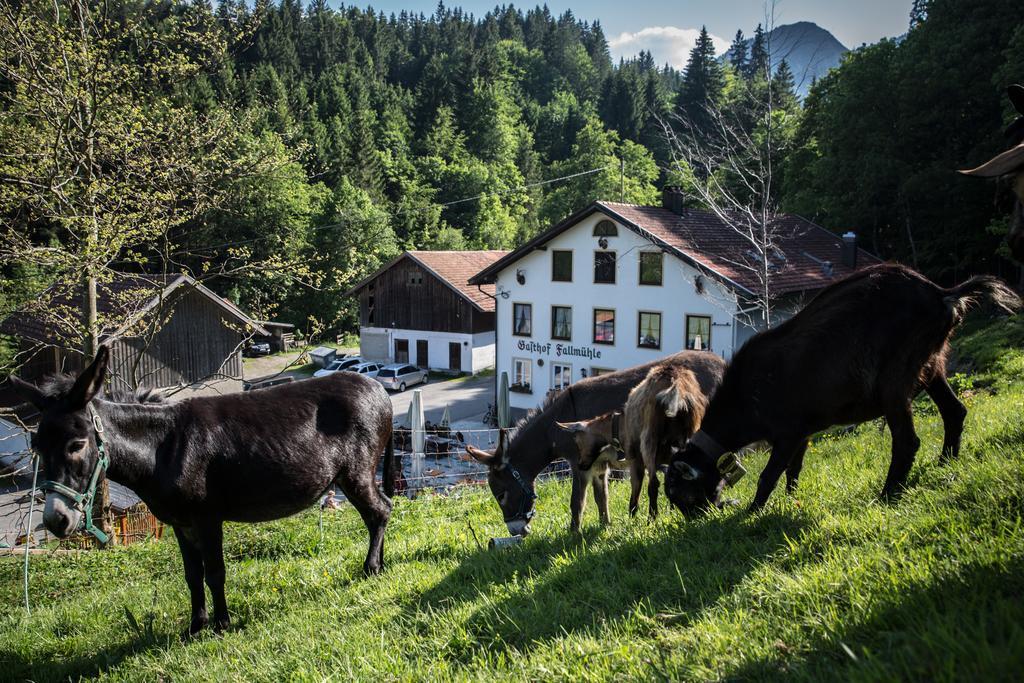 Fallmühle Inn