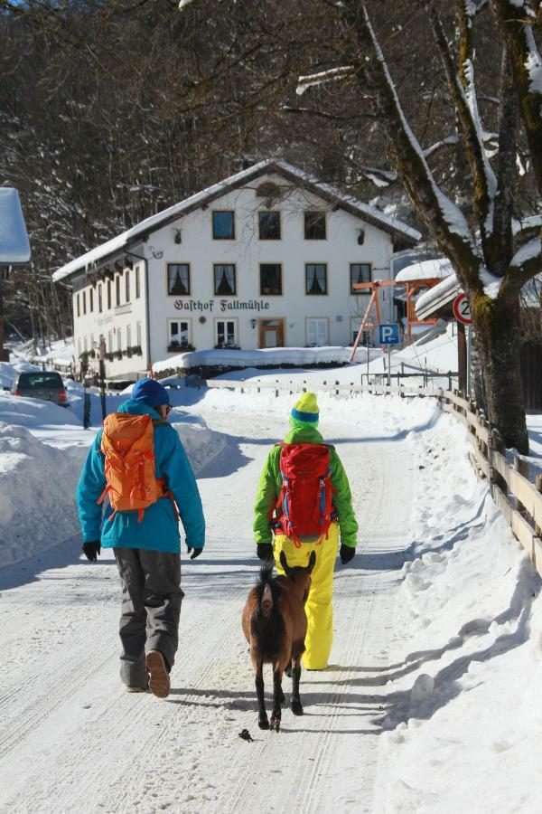 Fallmühle 2* Pfronten