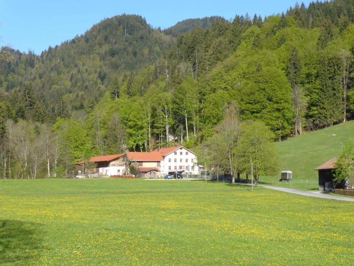 Fallmühle Inn